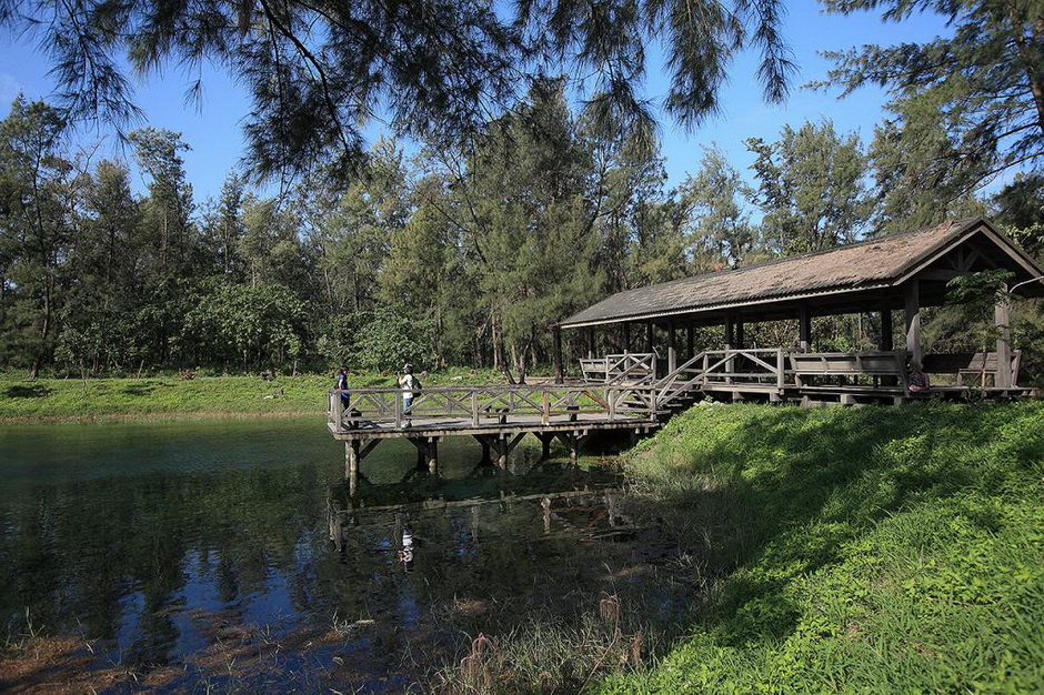 臺東森林公園