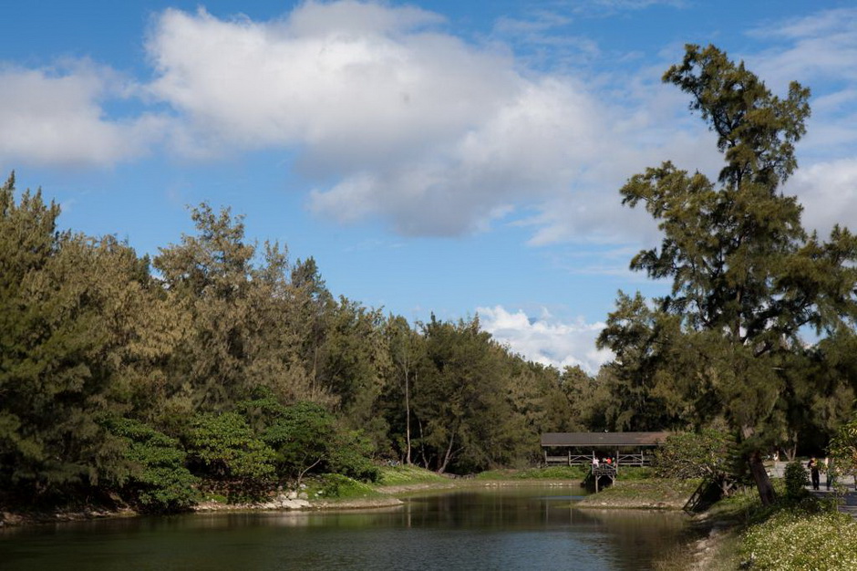 臺東森林公園